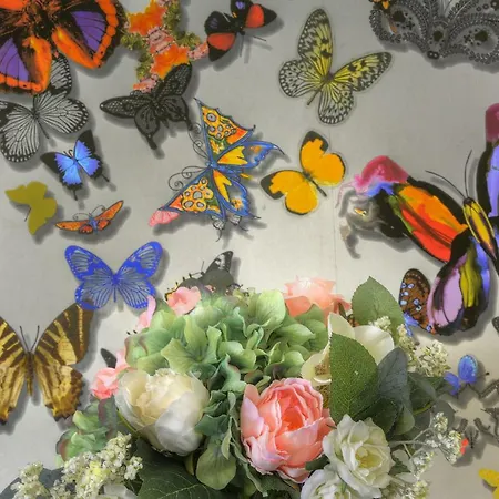 Butterfly Sevilha
