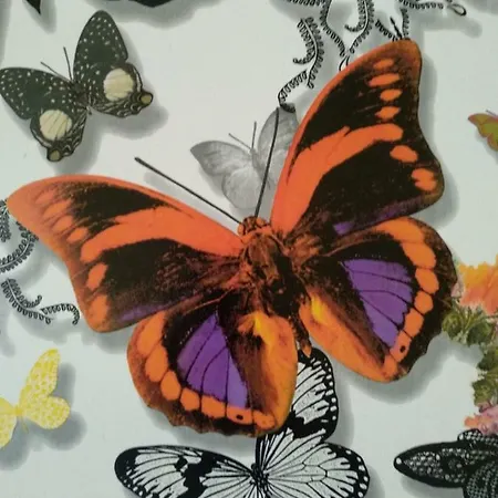 Butterfly Apartamento *