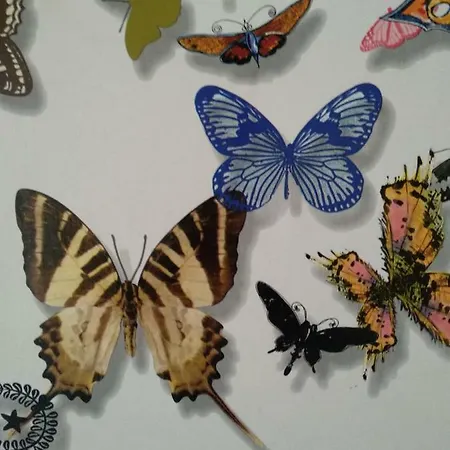 Apartamento Butterfly *