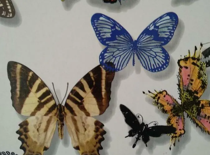 Apartamento Butterfly *